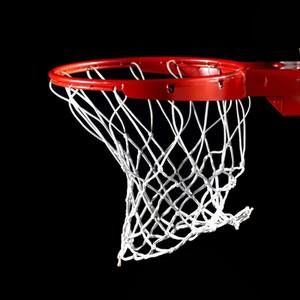 Meet your Posher, Carter